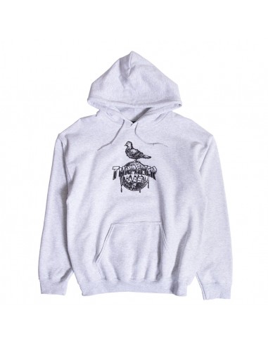 Thrasher x Antihero Cover The Earth Hooded Sweatshirt Ash Grey france