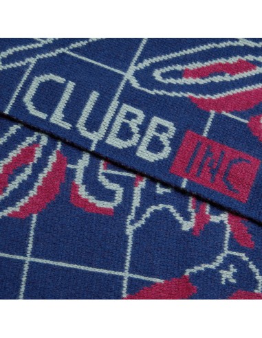 Polar Skate Co. Team Scarf Clubb Inc Navy de France